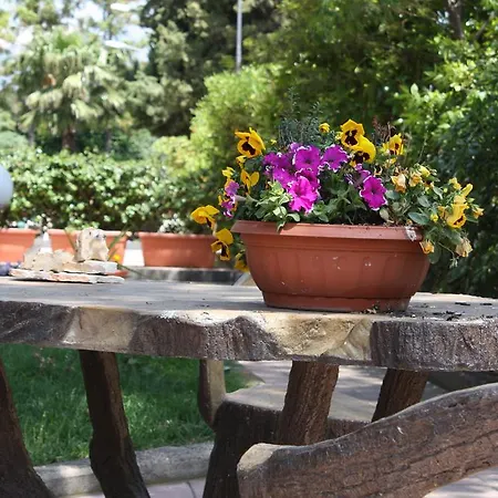 Athena Garden *